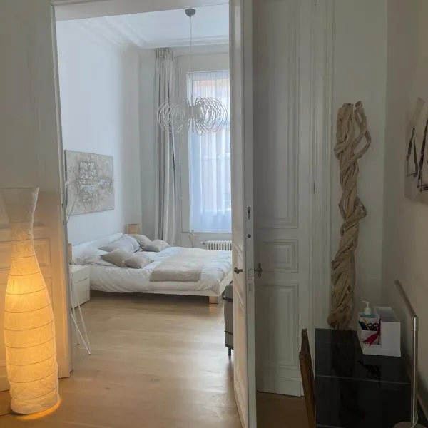 Apartment in trendy Chatelain center Brussels area Little Garden Internet wifi,位于布鲁塞尔的酒店