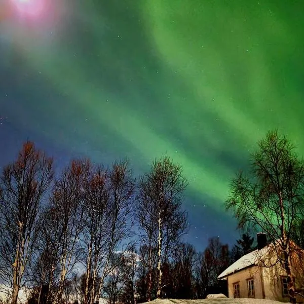 Cabin magic on Senja, atmosphere like a fairytale，位于Gibostad的酒店