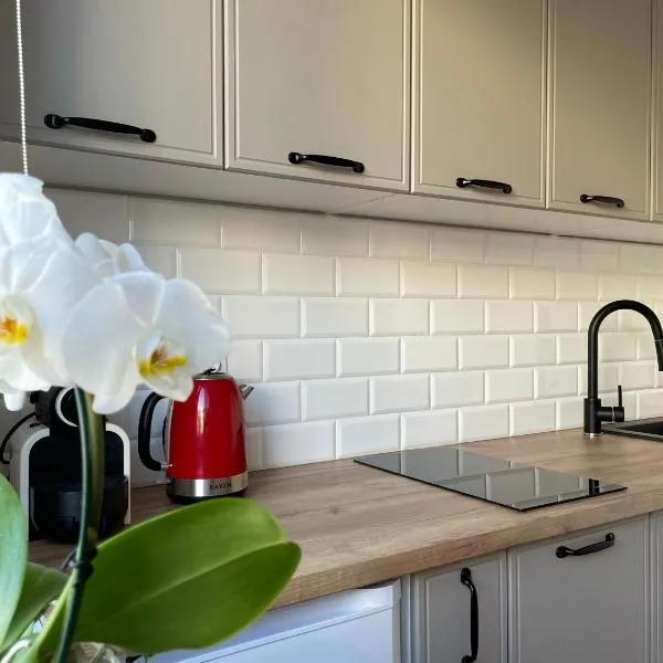 Apartament -Dwudziestka，位于桑多梅日的酒店