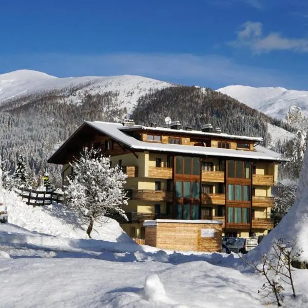 Panorama Rosie Design Chalet，位于Bad Kleinkirchheim的酒店