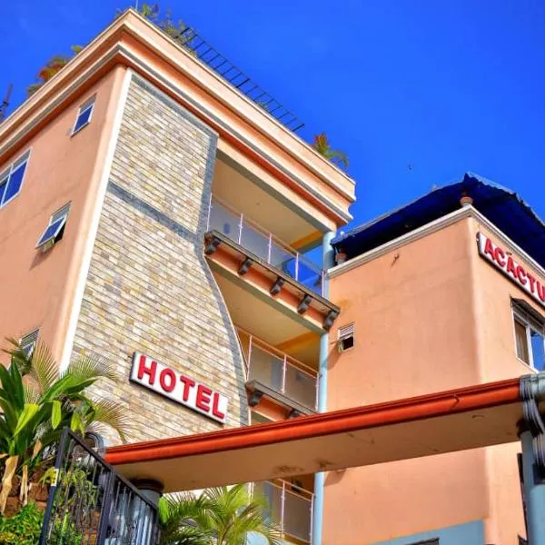 Acactus Hotel，位于Kajansi的酒店