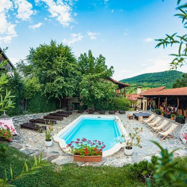 Casa Dives - Transylvania，位于Pianu de Sus的酒店