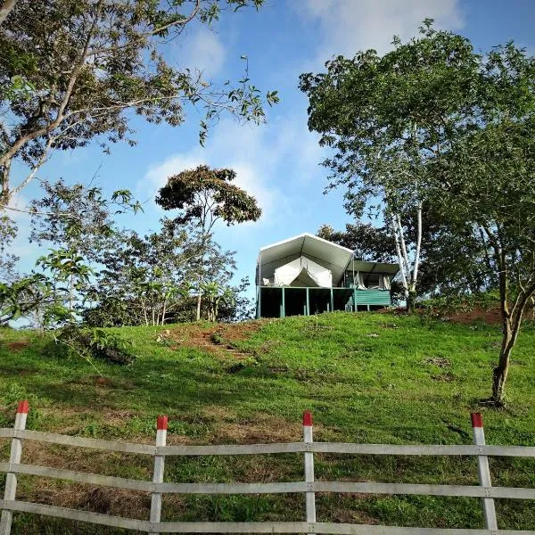 Finca Tres Equis - Farm and Forest，位于Bajo Tigre的酒店