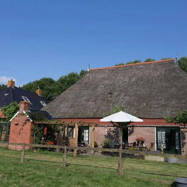 布利尔赫恩农家乐，位于Gorredijk的酒店
