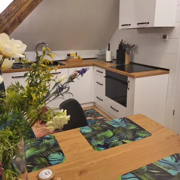 Apartamenty GUSTO Ostróda，位于奥斯特罗达的酒店