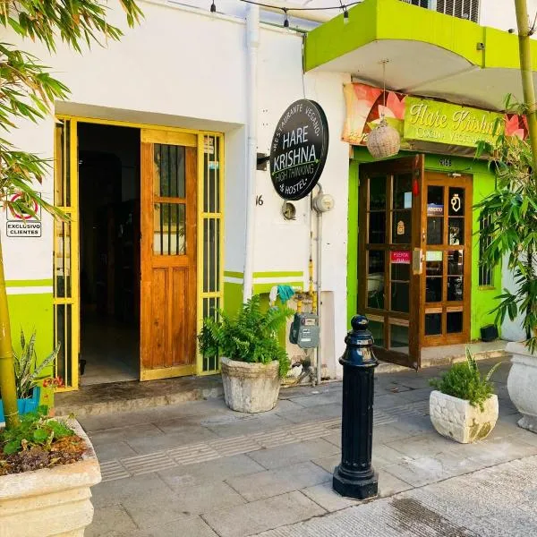 Barrio Antiguo Hostel HK，位于蒙特雷的酒店