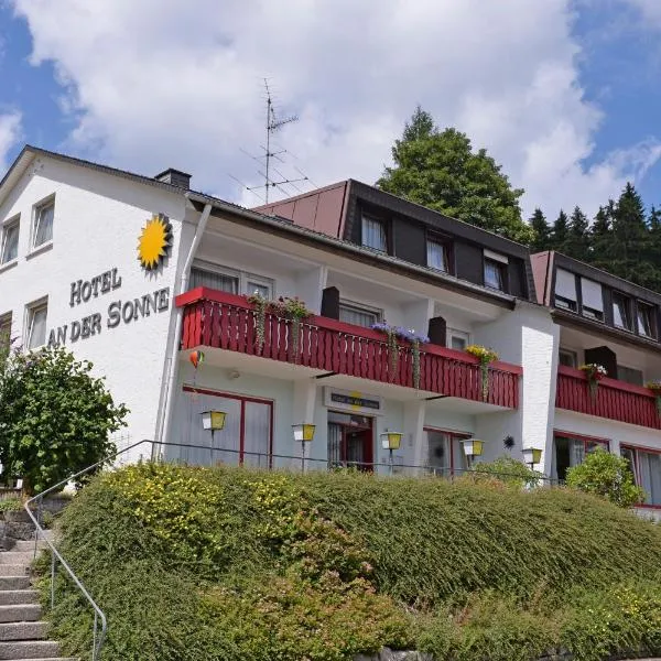 索奈酒店，位于Niederwasser的酒店