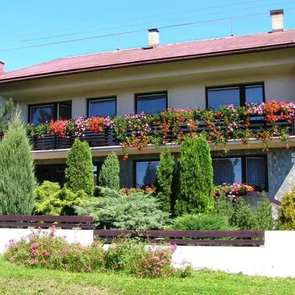 Apartmán Vika，位于什特尔巴的酒店