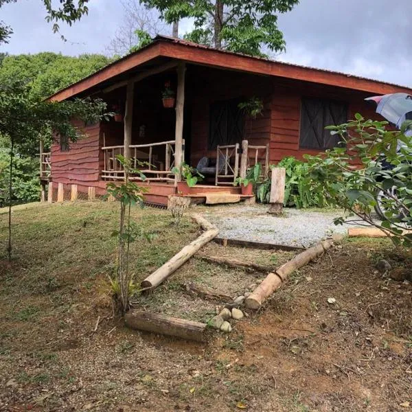 Log Cabin in Tinamaste Valley, Habacuc Woods, BARÚ，位于Platanillo的酒店