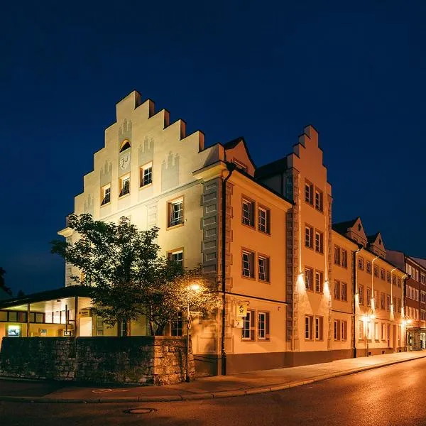 中央城旅馆，位于罗斯豪普滕的酒店