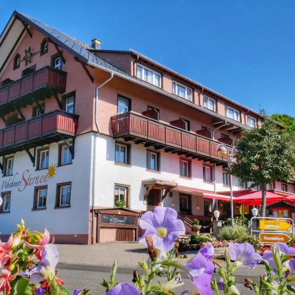 Wochner's Hotel-Sternen Am Schluchsee Hochschwarzwald，位于施卢赫湖的酒店