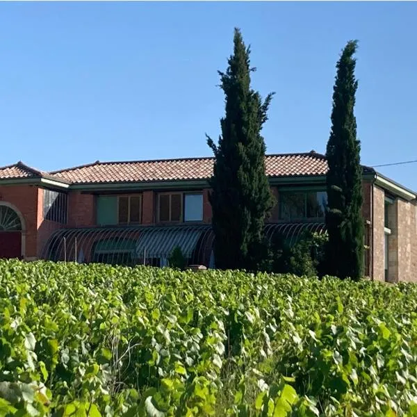 Gîte de la vieille vigne，位于弗勒里的酒店