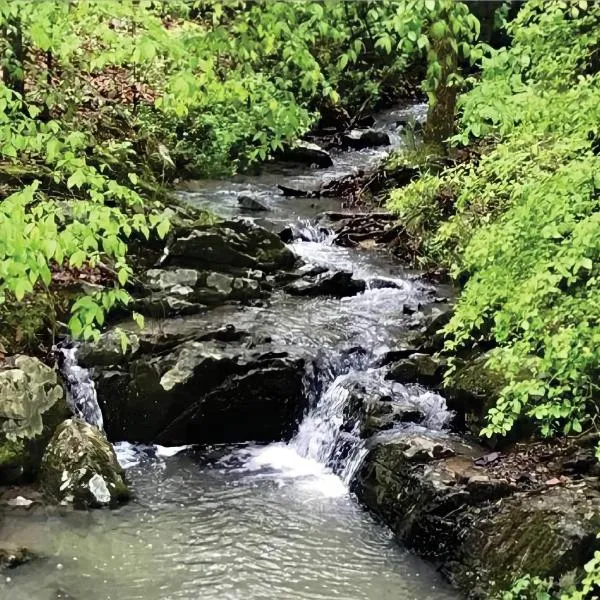 Secluded Home with Mini Waterfall and a Creek in Hot Springs，位于Malvern的酒店