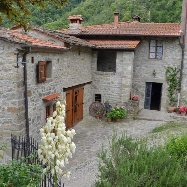 Agriturismo Podere Fiume，位于Caiano的酒店