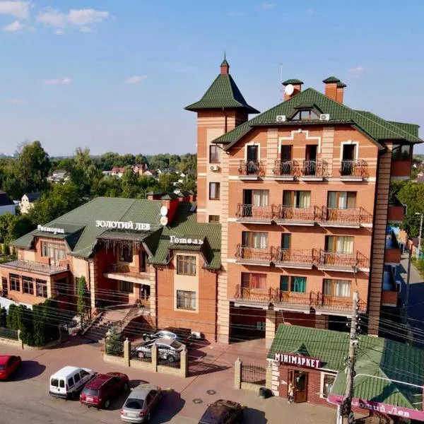 Golden Lion Hotel，位于Hoholiv的酒店