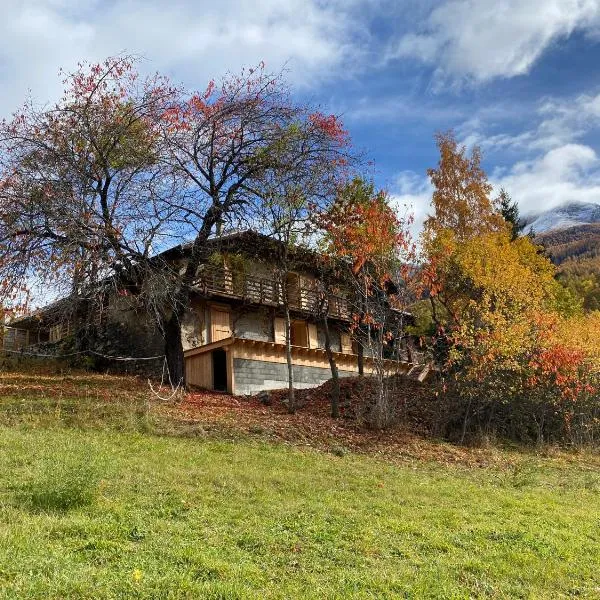 Maison de montagne Alpes du sud/station Les Orres，位于Les Ribes的酒店