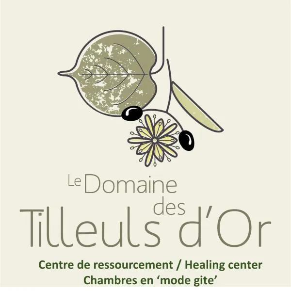 domaine des tilleuls d'or，位于锡亚涅河畔圣塞宰尔的酒店