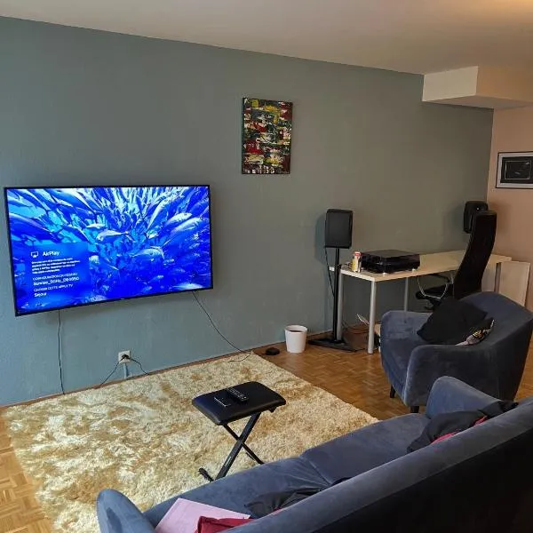 Beautiful Large Studio in center of Geneva Free Wifi，位于日内瓦的酒店