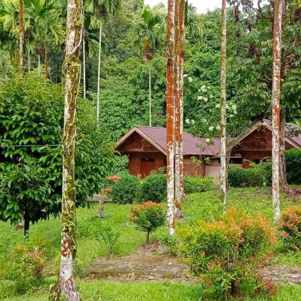 塔卡瀚绿色山林小屋，位于Tangkahan的酒店