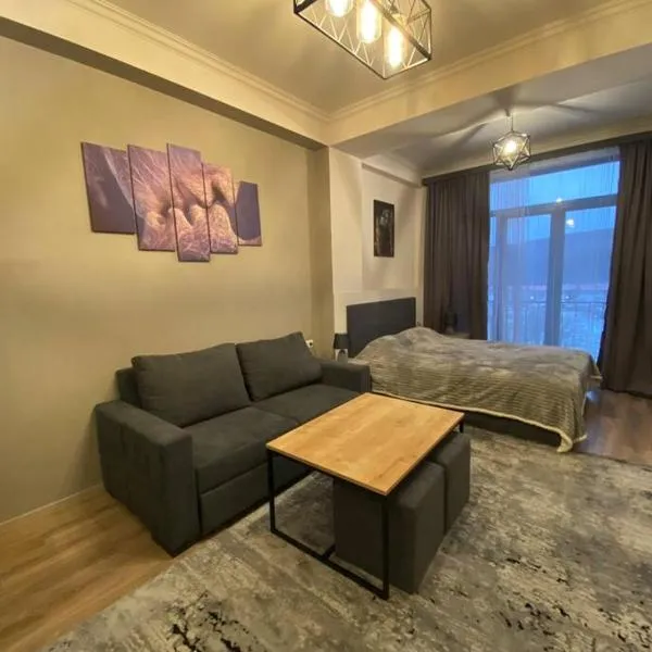 Jazzy Apartment, Kechi House Tsaghkadzor，位于萨克德佐尔镇的酒店