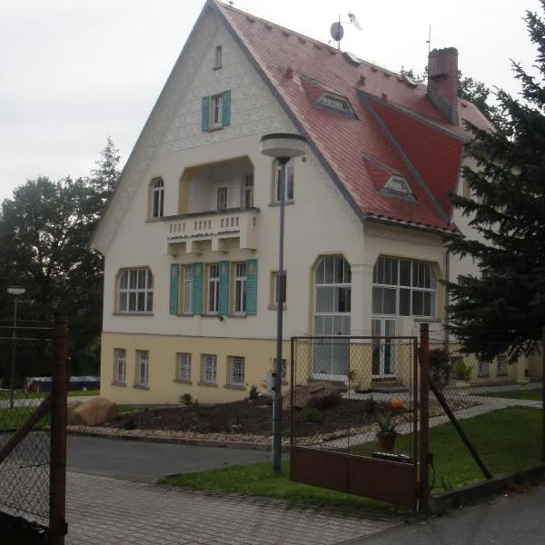 Penzion Jungmannova，位于Mikulášovice的酒店