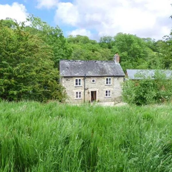 Ploony Cottage，位于Bleddfa的酒店