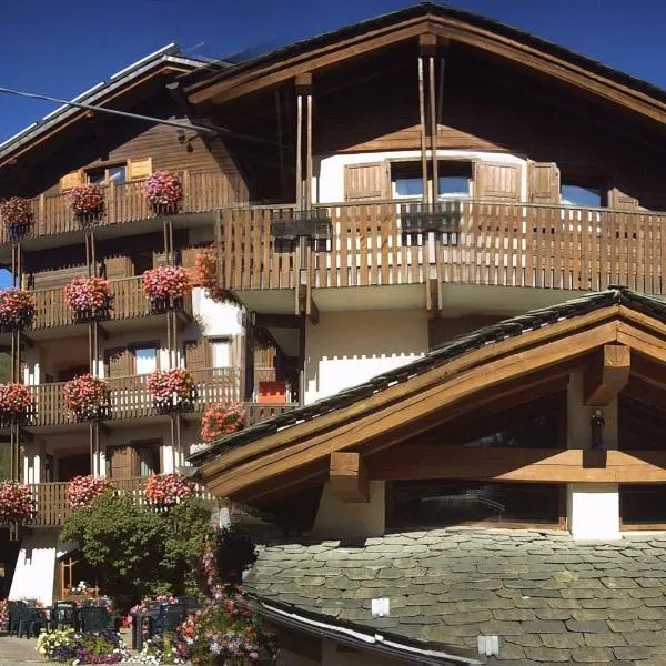 Hotel Vallée De Cogne，位于Epinel的酒店