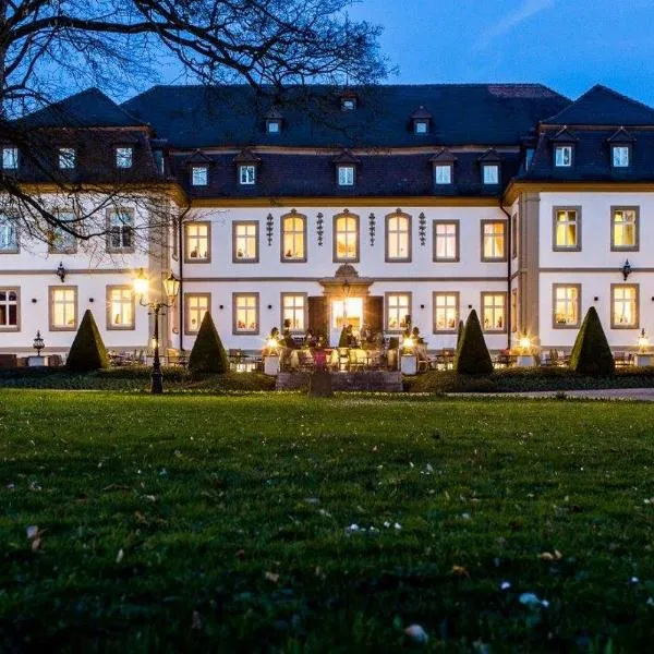 拜德纽斯塔德特城堡酒店，位于萨勒河畔巴特诺伊施塔特的酒店