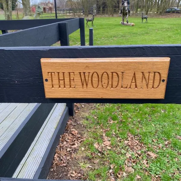 The Woodland，位于圣尼奥特的酒店