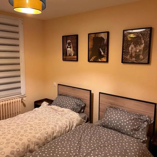 OLGA Chambre d'hote "Lili 2"，位于默兹河畔凡尔登的酒店