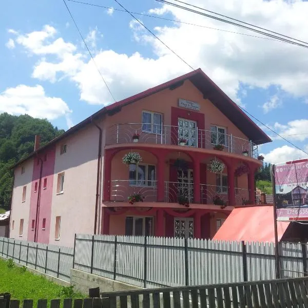 Pensiunea Floare de Bucovina，位于Frasin的酒店