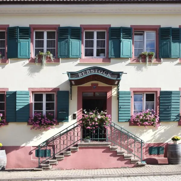 Landgasthof Rebstock，位于苏尔茨堡的酒店
