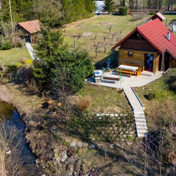 Wooden Cabin Zurej with Hot Tub，位于Bukovje v Babni Gori的酒店