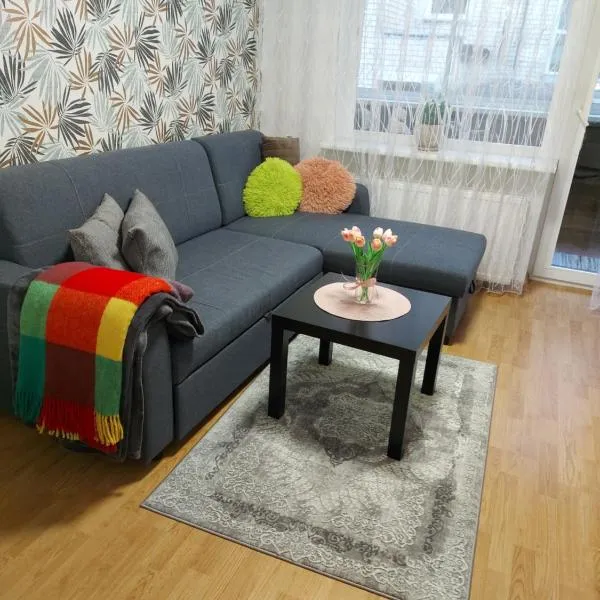 Apartamentai „Kaip namuose“，位于德鲁斯基宁凯的酒店