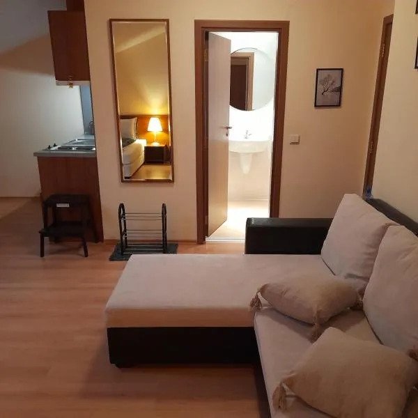 Studio Villa Park 410，位于波罗维茨的酒店