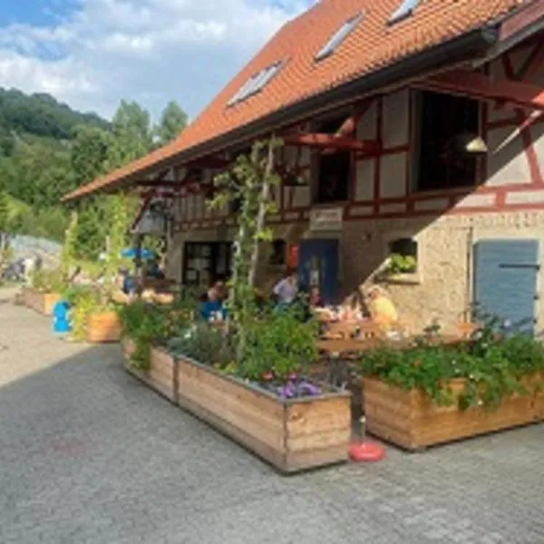 Gasthaus Holdermühle，位于克雷格林根的酒店