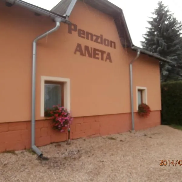 阿内塔旅馆，位于Žehrov的酒店