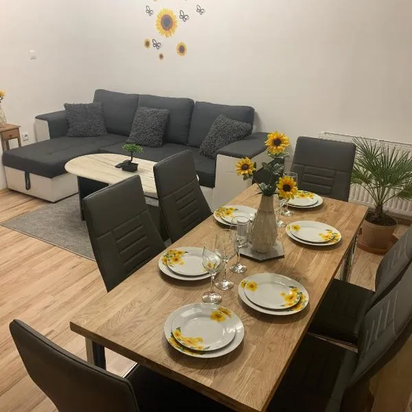 Apartmán Slunečnice s terasou，位于捷克布杰约维采的酒店