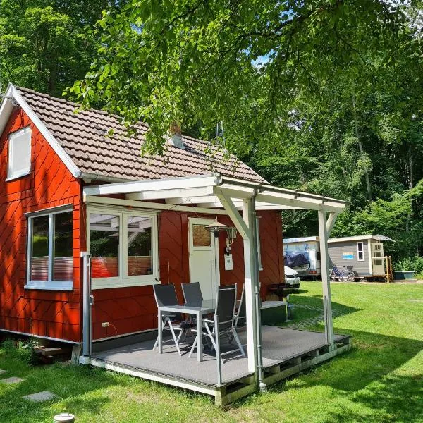 Ferienhaus direkt am Badesee Bungalow 11 Schönsee，位于Urnshausen的酒店