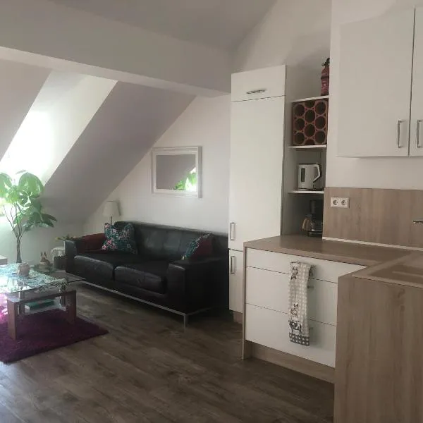 Old Bridge View Apartment，位于海德堡的酒店