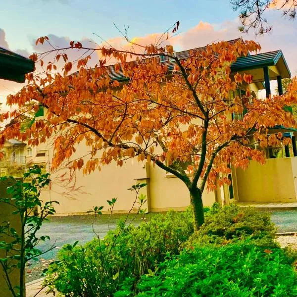 蓝山瀑布山庄酒店，位于温特沃斯瀑布的酒店