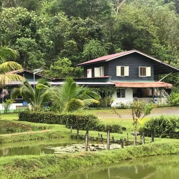 Noungan Farm Homestay，位于宾南邦的酒店