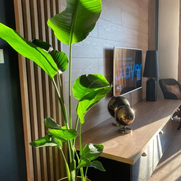 Apartamenty Termalne GREEN Apartment，位于乌涅尤夫的酒店