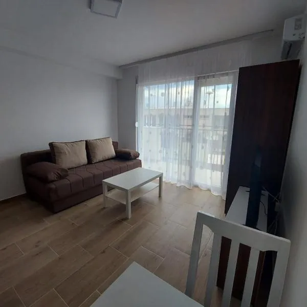 Ekskluziv apartmani，位于帕拉钦的酒店