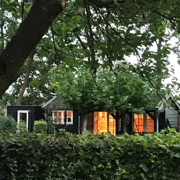 De Túnfûgel (tiny house)，位于Nijeholtpade的酒店