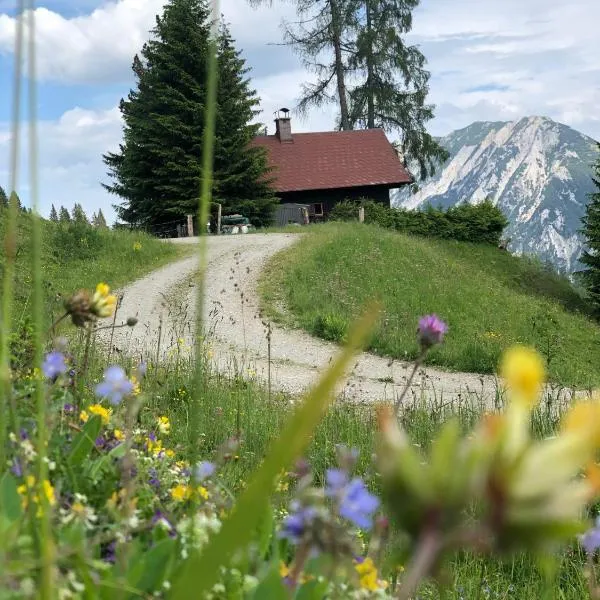 Jagdhütte Gammeringalm，位于皮恩山口附近施皮塔尔的酒店