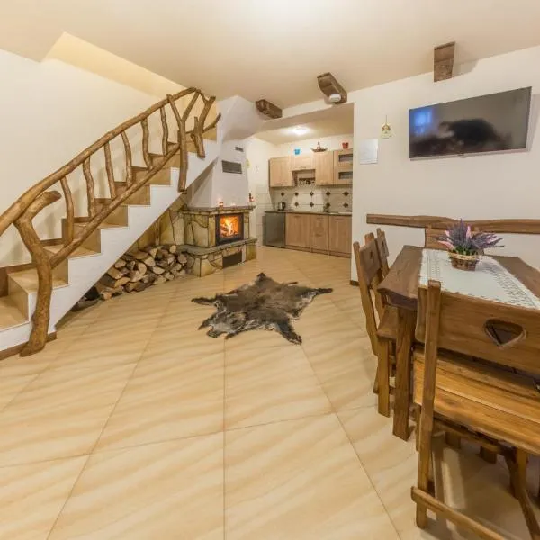 Chata z Kominkiem - Drozdówka Solina- 6-9-2-2-8-1-3-6-3，位于索利纳的酒店