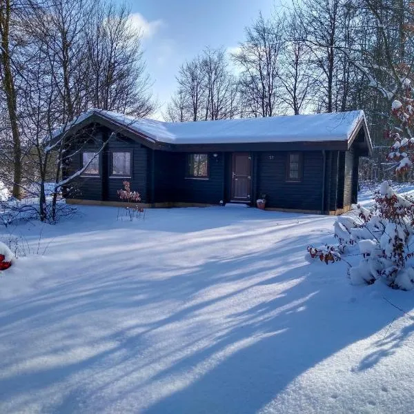 Chalet Haus 57 Wald Eck by Interhome，位于巴特阿罗尔森的酒店