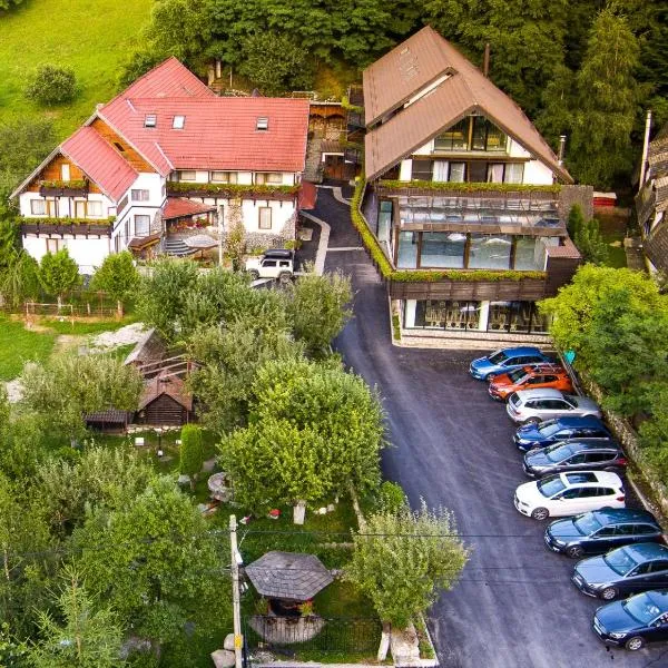 Pension Mama Cozonacilor，位于布朗的酒店