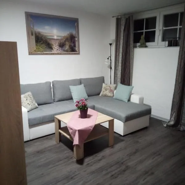 Moderne Ferienwohnung bis 4 Personen，位于Ronneburg的酒店